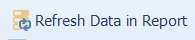 6. Refresh Data in Report button