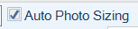 3. Auto Photo Sizing Checkbox