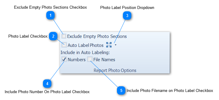 Report Photo Options