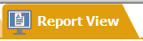 1. Report View Tab