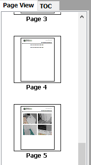 4. Page Thumbnail View / TOC View