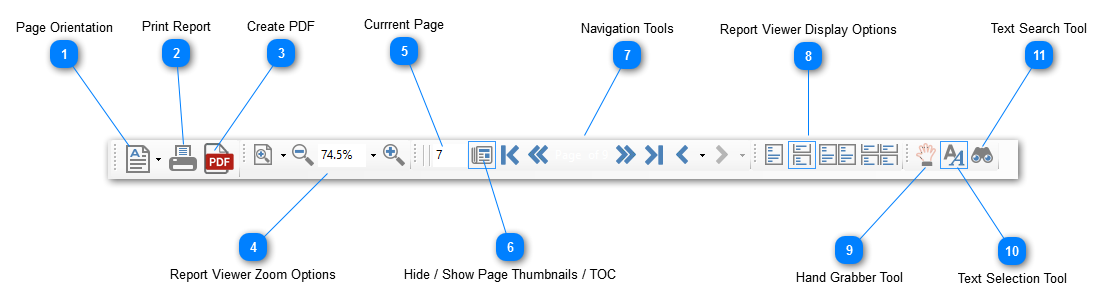 Report View Toolbar